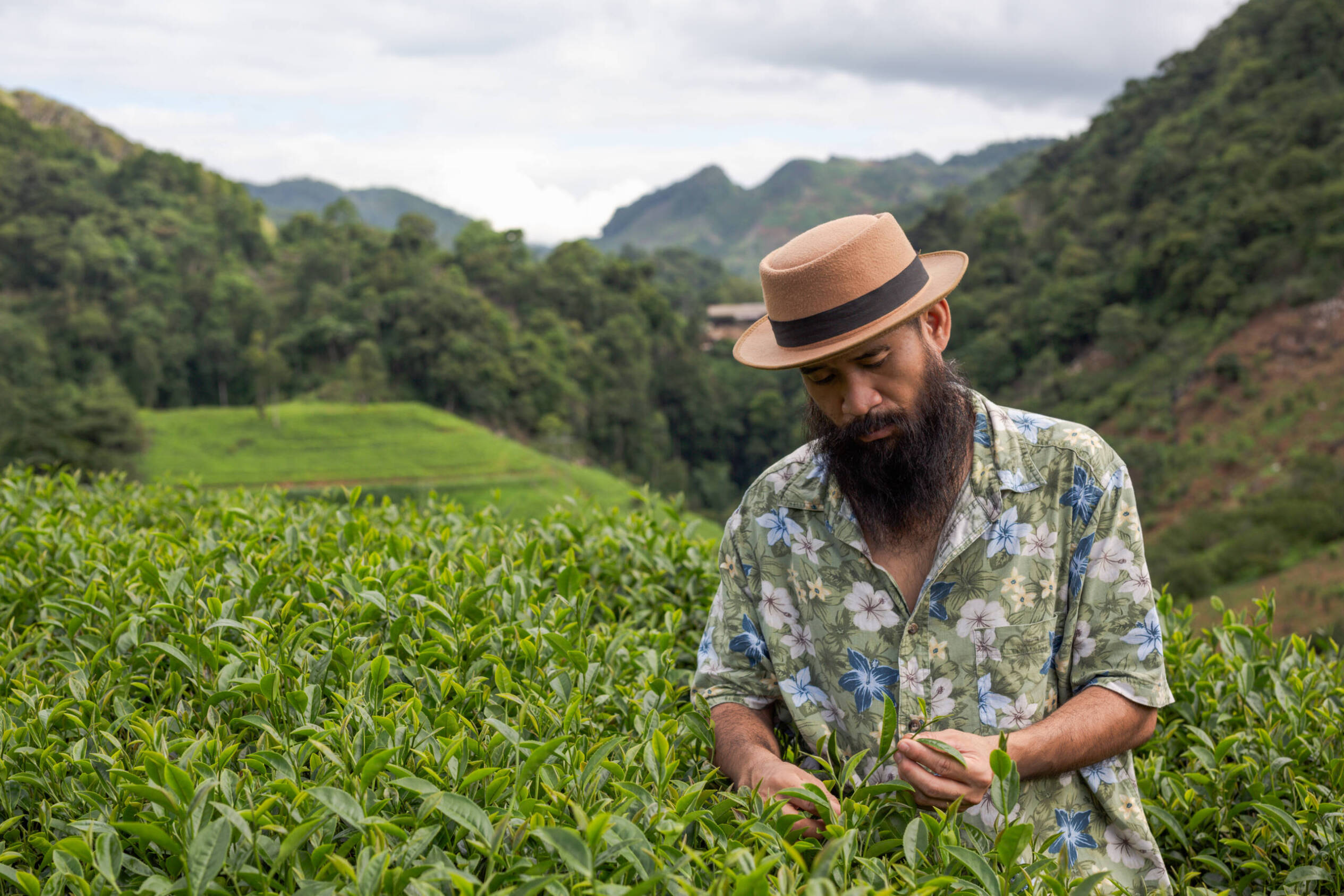 Man in a farm