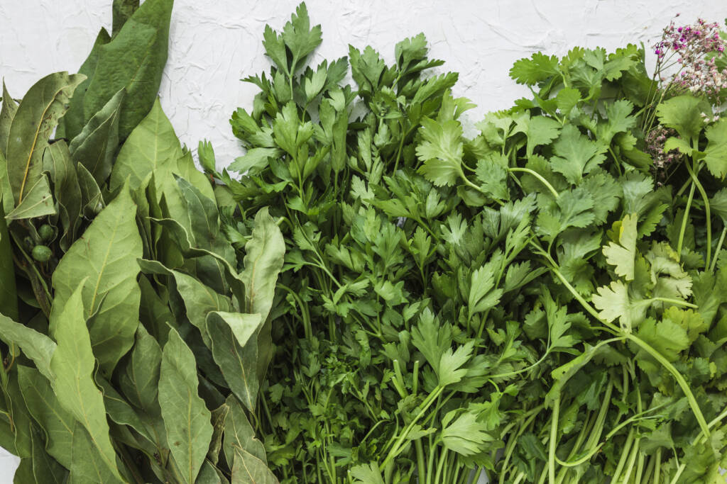 Cilantro, parsley, and bay leaves