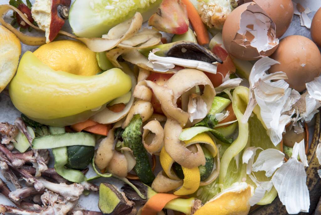 Food scraps for composting