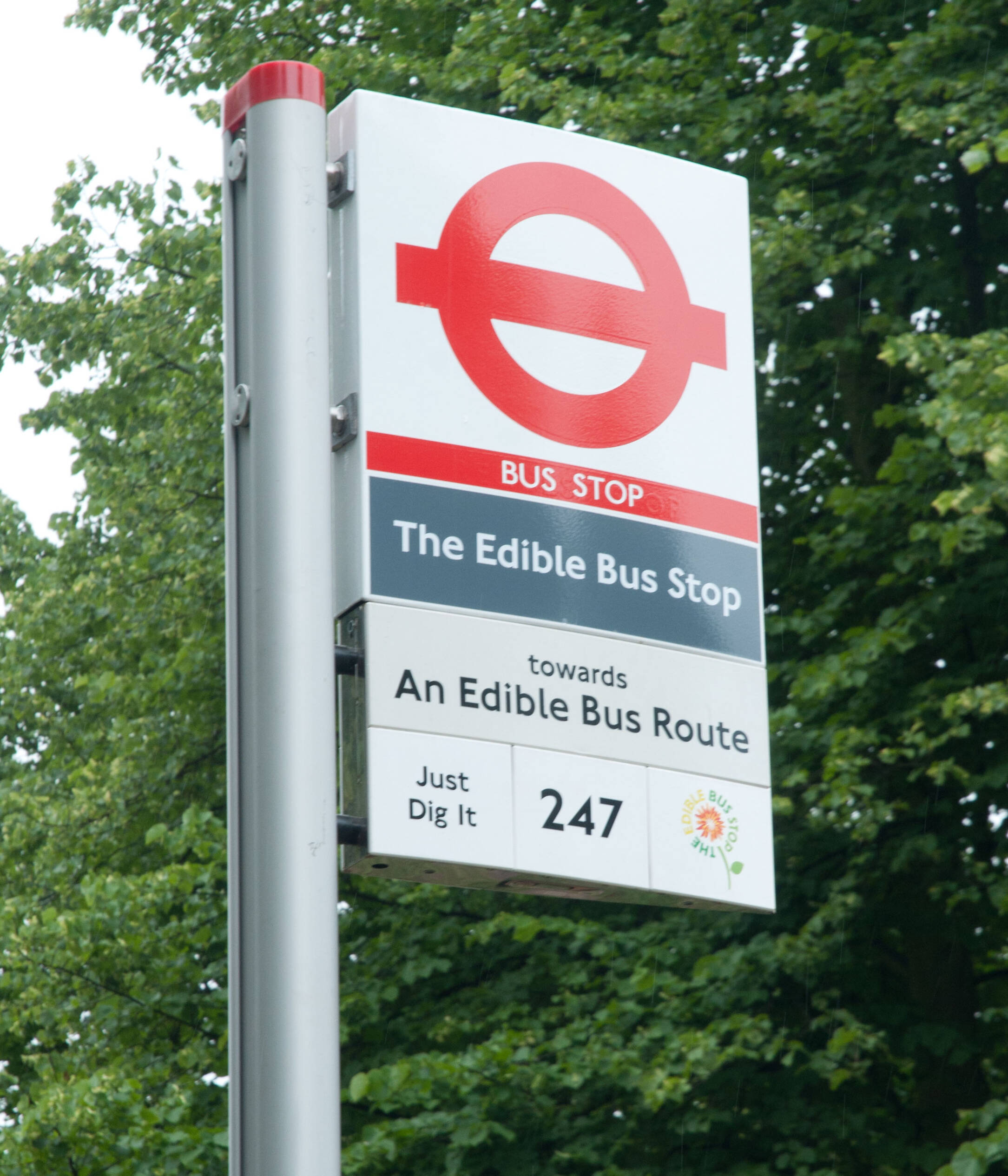 Bus stop sign for an edible bus stop