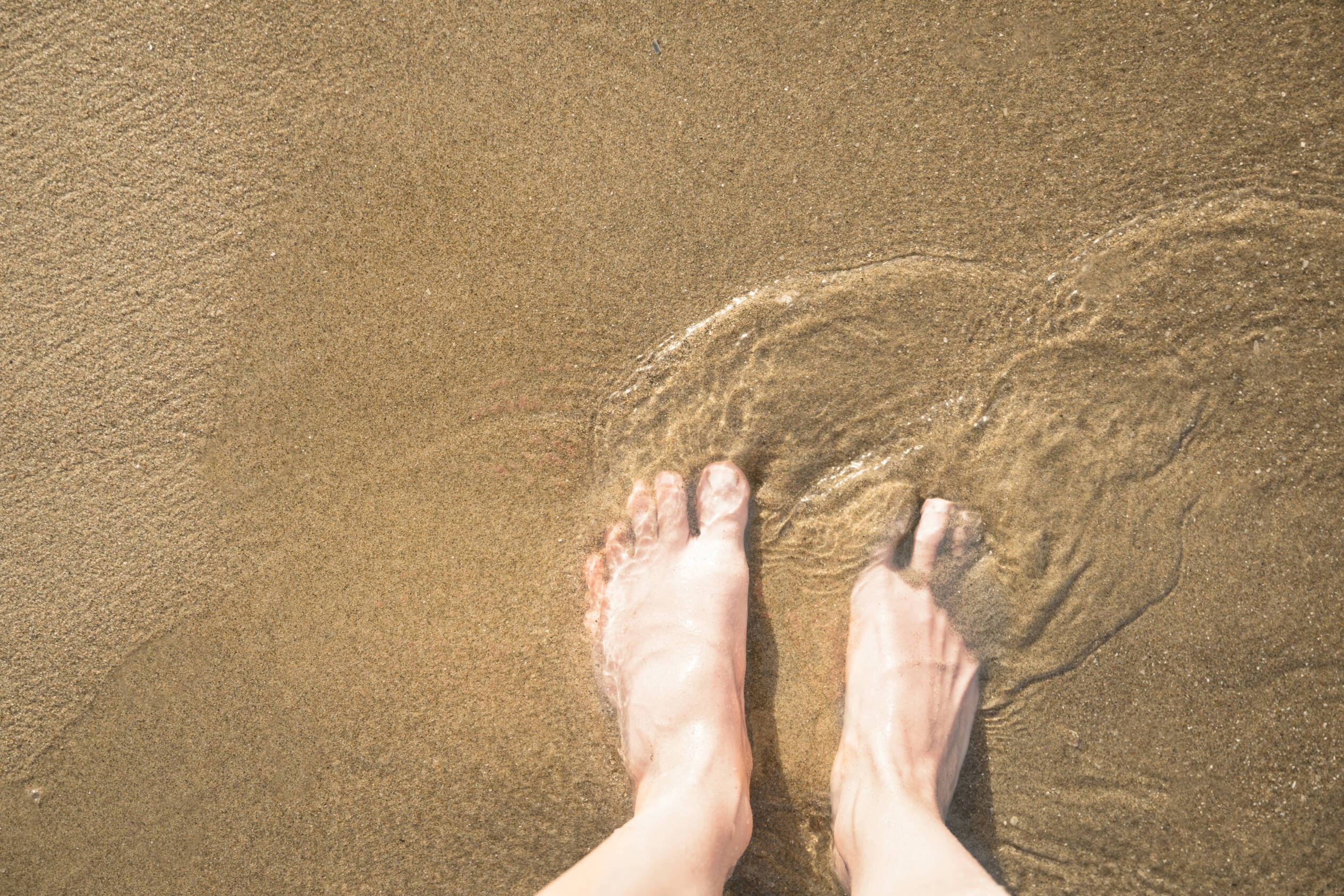 Topview of woman's feet in wet sand