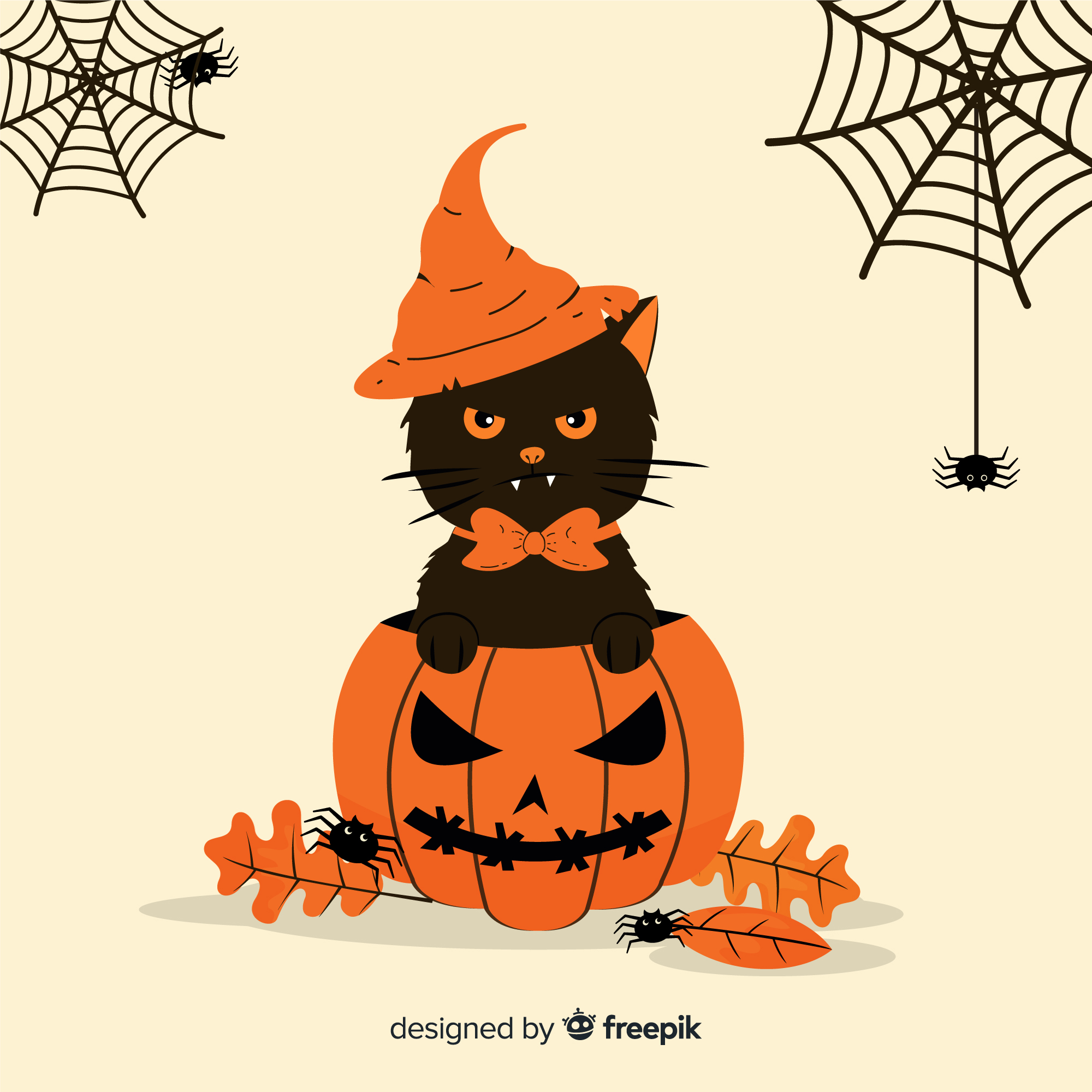 cute cat in carved pumpkin