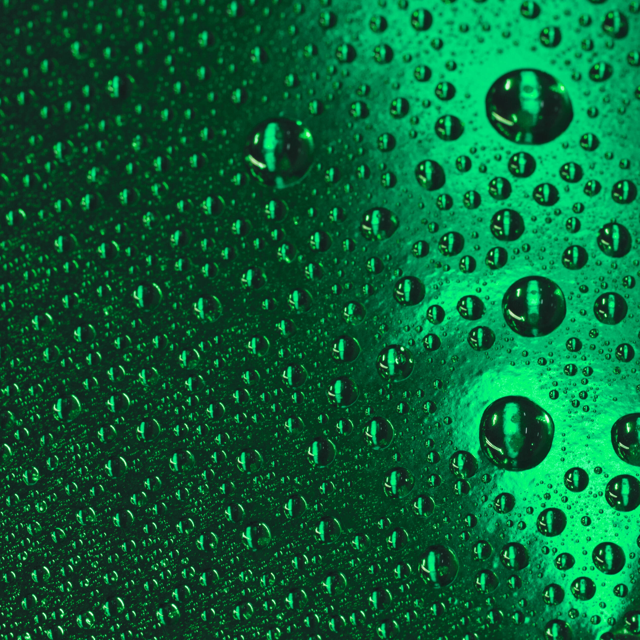 Green bottle with carbonated water