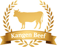 Kangen holds multiple prestigious certifications