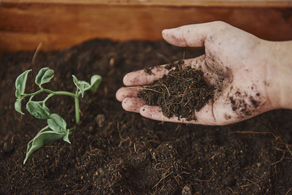 container gardening